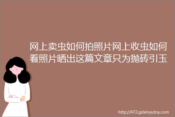 网上卖虫如何拍照片网上收虫如何看照片晒出这篇文章只为抛砖引玉