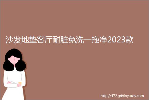 沙发地垫客厅耐脏免洗一拖净2023款