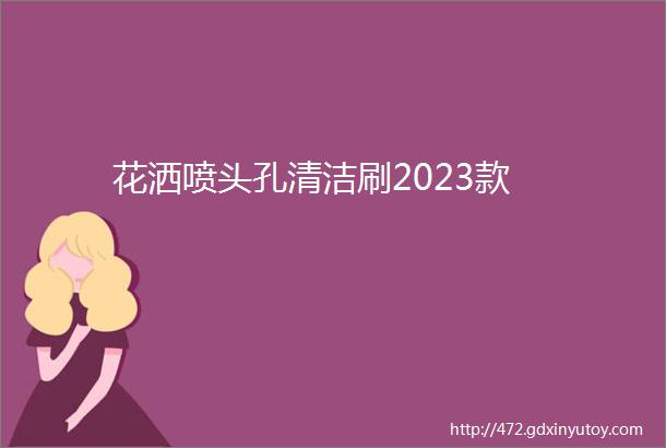 花洒喷头孔清洁刷2023款