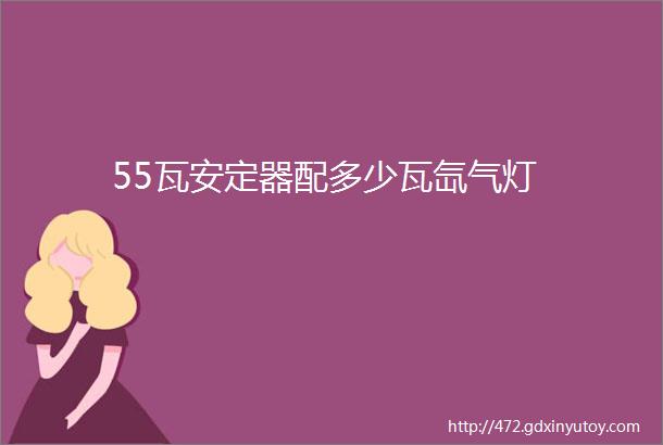 55瓦安定器配多少瓦氙气灯