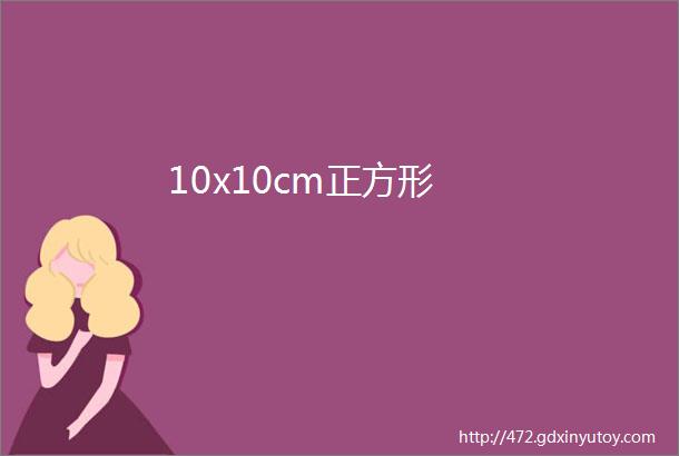 10x10cm正方形