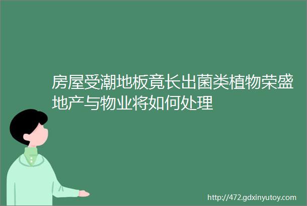 房屋受潮地板竟长出菌类植物荣盛地产与物业将如何处理