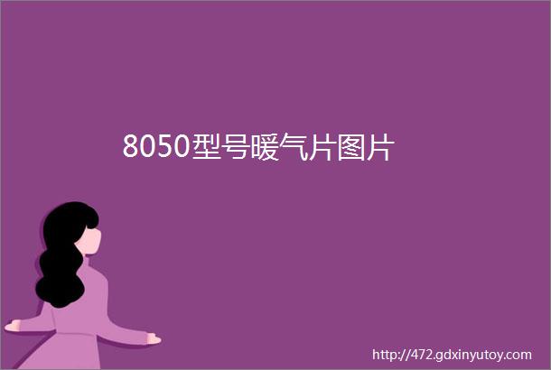 8050型号暖气片图片