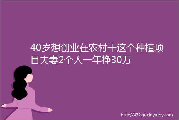 40岁想创业在农村干这个种植项目夫妻2个人一年挣30万