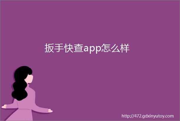 扳手快查app怎么样