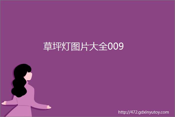 草坪灯图片大全009