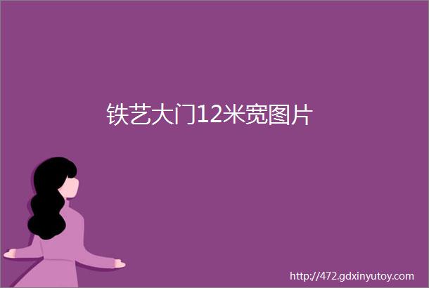 铁艺大门12米宽图片