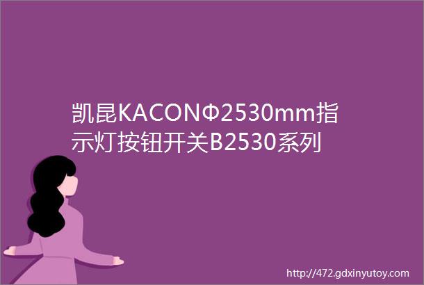 凯昆KACONΦ2530mm指示灯按钮开关B2530系列