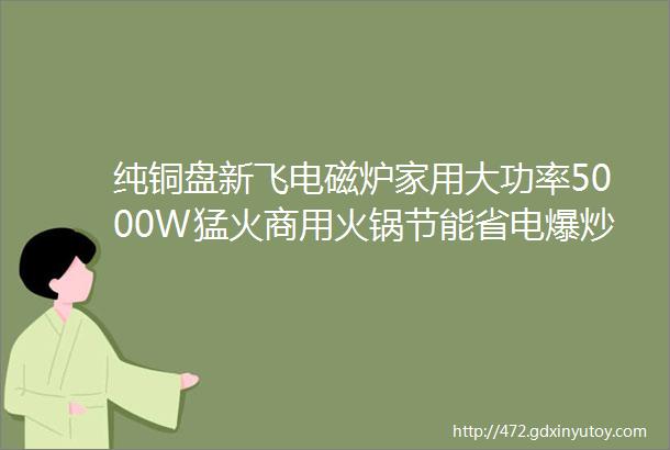 纯铜盘新飞电磁炉家用大功率5000W猛火商用火锅节能省电爆炒新款