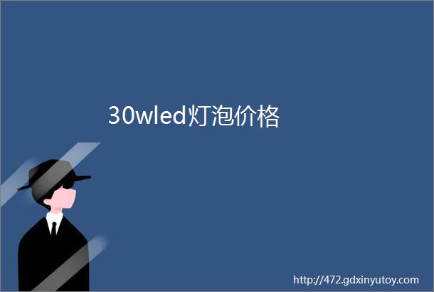 30wled灯泡价格