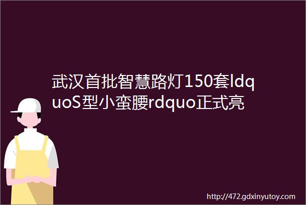 武汉首批智慧路灯150套ldquoS型小蛮腰rdquo正式亮相