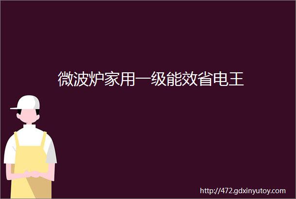 微波炉家用一级能效省电王