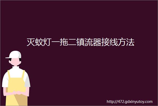 灭蚊灯一拖二镇流器接线方法