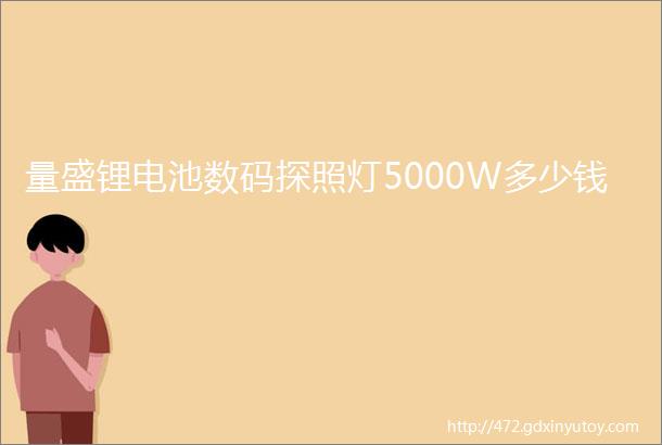 量盛锂电池数码探照灯5000W多少钱