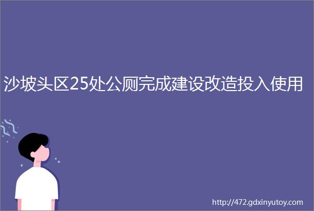 沙坡头区25处公厕完成建设改造投入使用