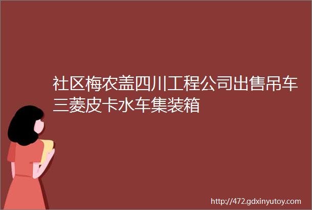 社区梅农盖四川工程公司出售吊车三菱皮卡水车集装箱