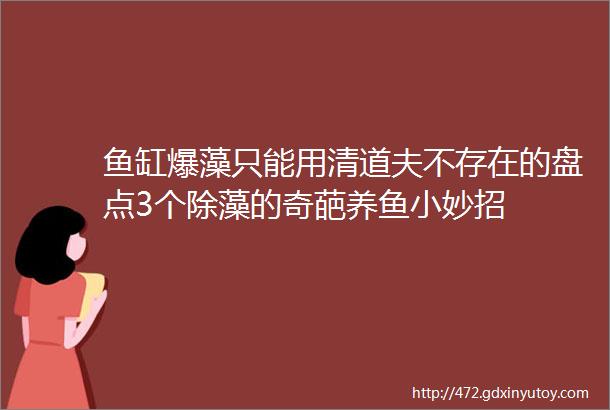 鱼缸爆藻只能用清道夫不存在的盘点3个除藻的奇葩养鱼小妙招