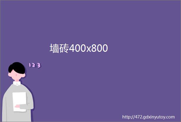 墙砖400x800