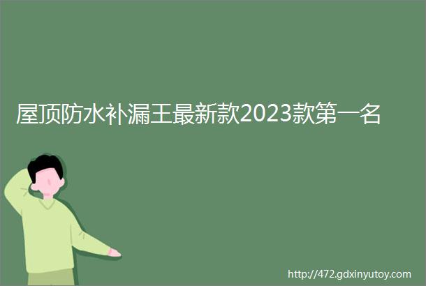 屋顶防水补漏王最新款2023款第一名