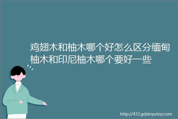 鸡翅木和柚木哪个好怎么区分缅甸柚木和印尼柚木哪个要好一些