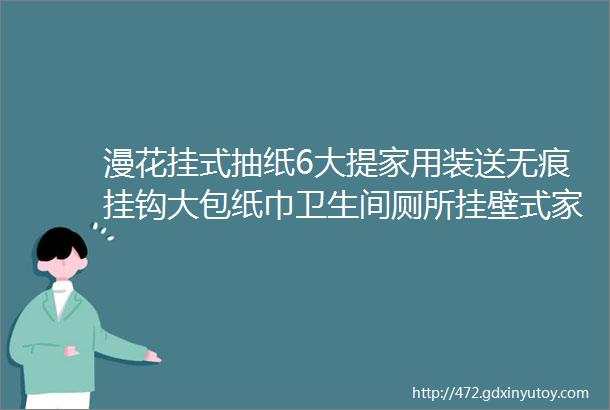 漫花挂式抽纸6大提家用装送无痕挂钩大包纸巾卫生间厕所挂壁式家用卫生纸悬挂厕纸